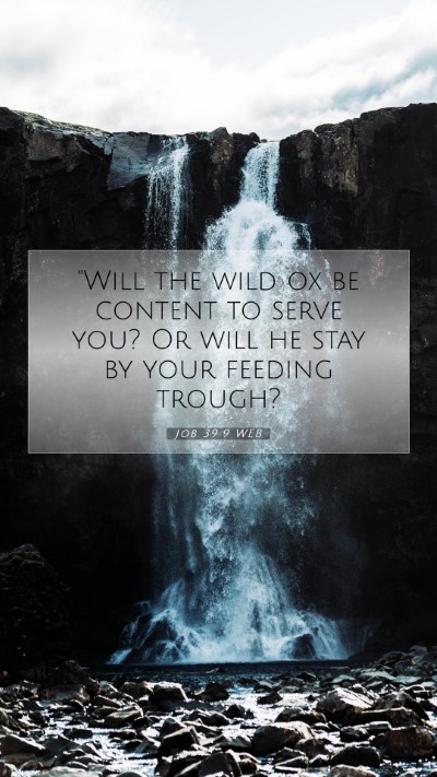 Picture 07 - Job 39:9 WEB Mobile Phone Wallpaper - 