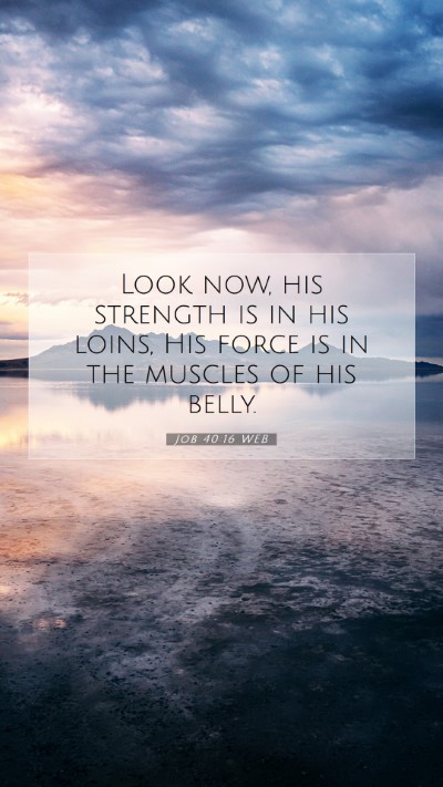 Picture 07 - Job 40:16 WEB Mobile Phone Wallpaper - Look now, his strength is in his loins, His force - Mobile Bible Verse Wallpaper