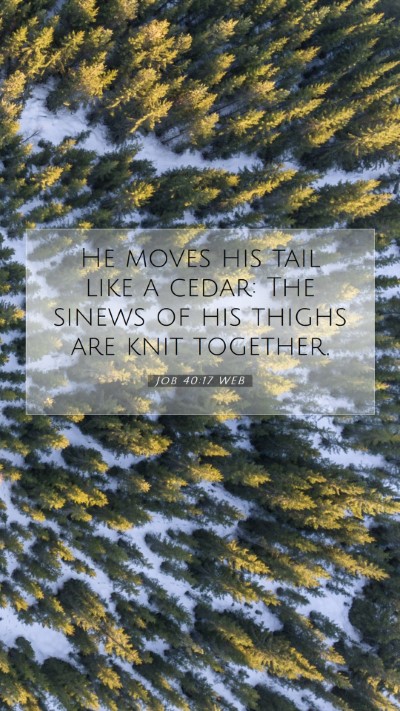 Picture 07 - Job 40:17 WEB Mobile Phone Wallpaper - He moves his tail like a cedar: The sinews of his - Mobile Bible Verse Wallpaper