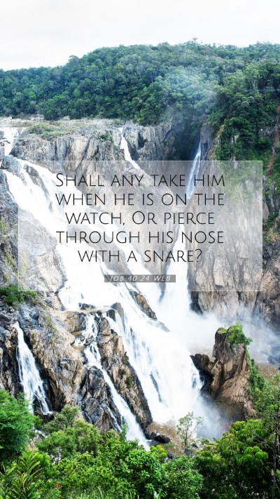 Picture 07 - Job 40:24 WEB Mobile Phone Wallpaper - Shall any take him when he is on the watch, Or - Mobile Bible Verse Wallpaper
