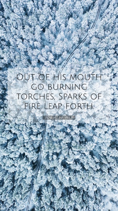 Picture 07 - Job 41:19 WEB Mobile Phone Wallpaper - Out of his mouth go burning torches, Sparks of - Mobile Bible Verse Wallpaper