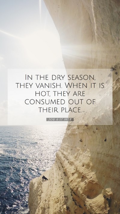 Picture 07 - Job 6:17 WEB Mobile Phone Wallpaper - In the dry season, they vanish. When it is hot, - Mobile Bible Verse Wallpaper