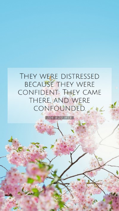 Picture 07 - Job 6:20 WEB Mobile Phone Wallpaper - They were distressed because they were confident; - Mobile Bible Verse Wallpaper