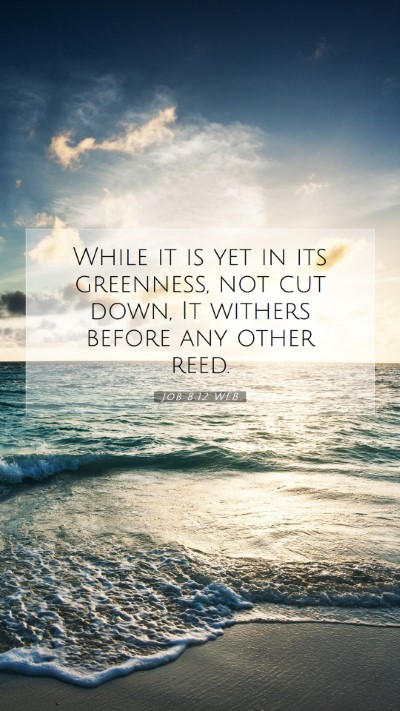 Picture 07 - Job 8:12 WEB Mobile Phone Wallpaper - While it is yet in its greenness, not cut down, - Mobile Bible Verse Wallpaper