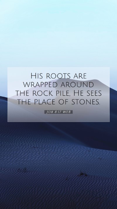 Picture 07 - Job 8:17 WEB Mobile Phone Wallpaper - His roots are wrapped around the rock pile, He - Mobile Bible Verse Wallpaper