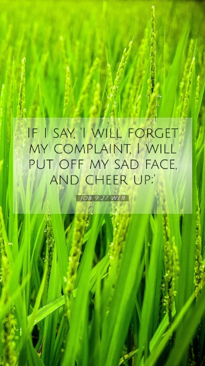 Picture 07 - Job 9:27 WEB Mobile Phone Wallpaper - If I say, 'I will forget my complaint, I will put - Mobile Bible Verse Wallpaper