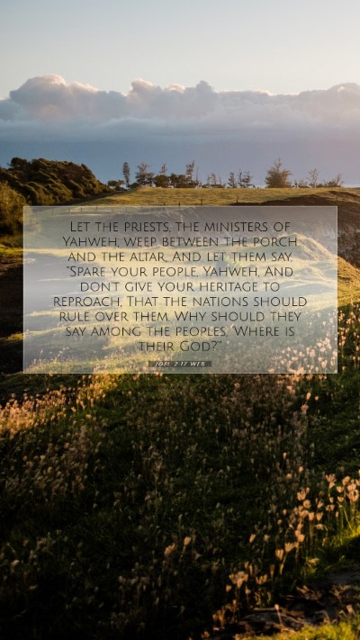 Picture 07 - Joel 2:17 WEB Mobile Phone Wallpaper - Let the priests, the ministers of Yahweh, weep - Mobile Bible Verse Wallpaper