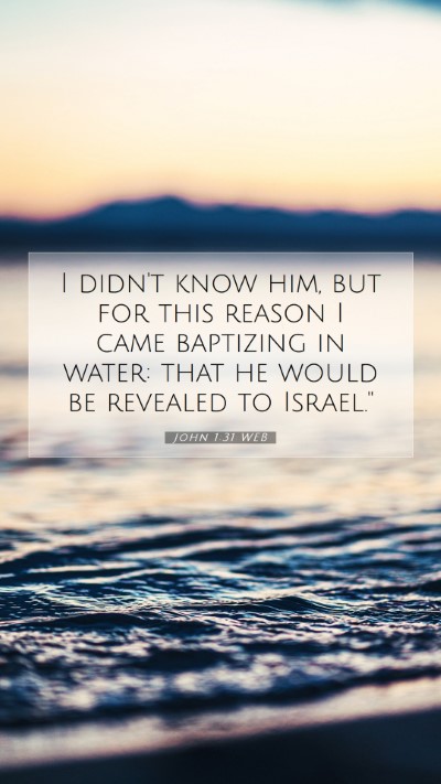 Picture 07 - John 1:31 WEB Mobile Phone Wallpaper - I didn't know him, but for this reason I came - Mobile Bible Verse Wallpaper