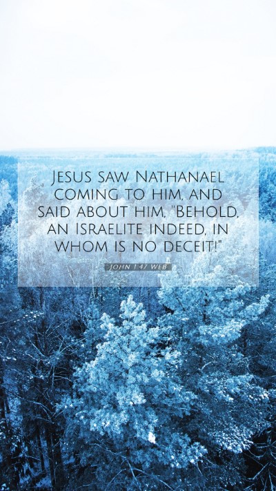 Picture 07 - John 1:47 WEB Mobile Phone Wallpaper - Jesus saw Nathanael coming to him, and said about - Mobile Bible Verse Wallpaper