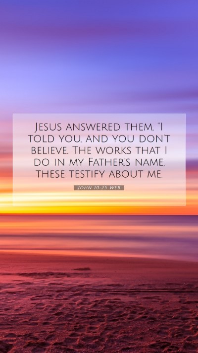 Picture 07 - John 10:25 WEB Mobile Phone Wallpaper - Jesus answered them, 