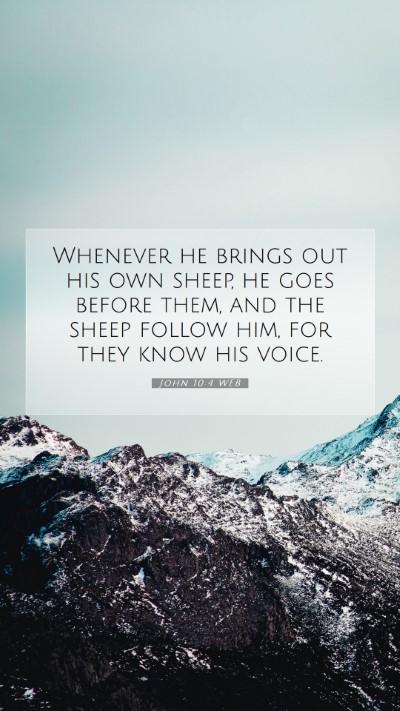 Picture 07 - John 10:4 WEB Mobile Phone Wallpaper - Whenever he brings out his own sheep, he goes - Mobile Bible Verse Wallpaper