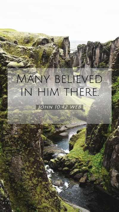 Picture 07 - John 10:42 WEB Mobile Phone Wallpaper - Many believed in him - Mobile Bible Verse Wallpaper
