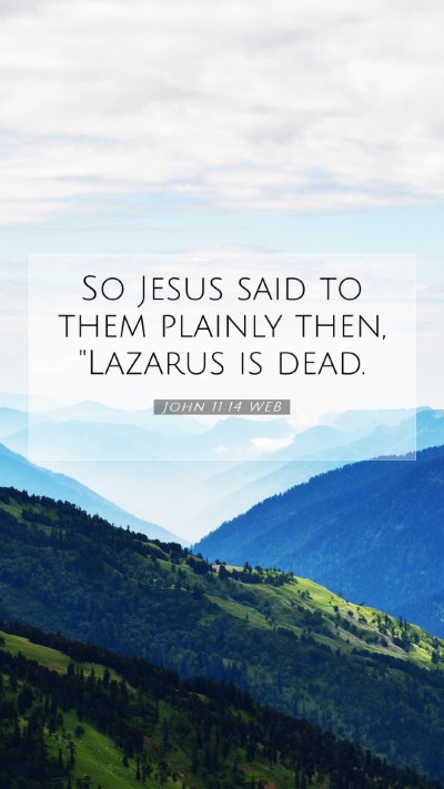 Picture 07 - John 11:14 WEB Mobile Phone Wallpaper - So Jesus said to them plainly then, 
