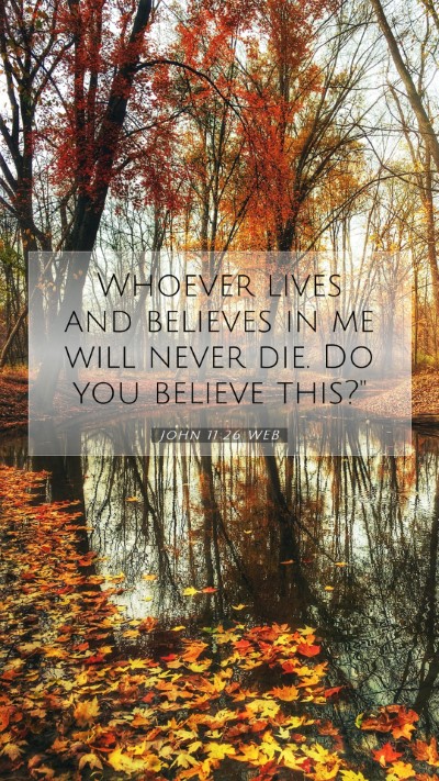 Picture 07 - John 11:26 WEB Mobile Phone Wallpaper - Whoever lives and believes in me will never die. - Mobile Bible Verse Wallpaper