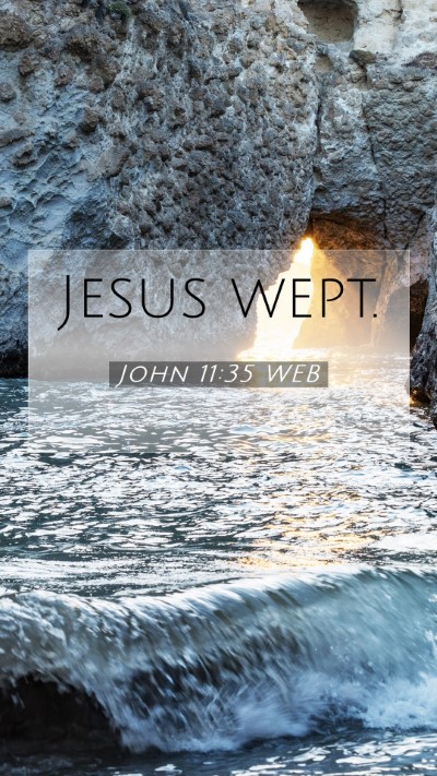 Picture 07 - John 11:35 WEB Mobile Phone Wallpaper - Jesus - Mobile Bible Verse Wallpaper