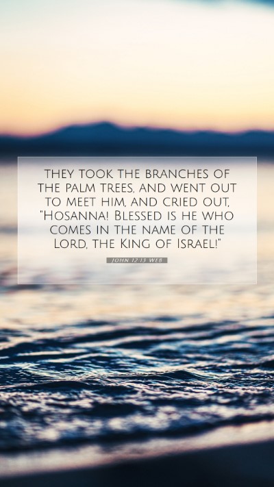 Picture 07 - John 12:13 WEB Mobile Phone Wallpaper - they took the branches of the palm trees, and - Mobile Bible Verse Wallpaper