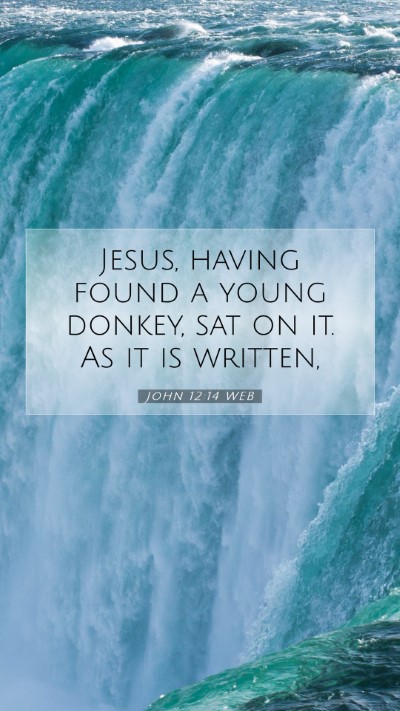Picture 07 - John 12:14 WEB Mobile Phone Wallpaper - Jesus, having found a young donkey, sat on it. As - Mobile Bible Verse Wallpaper