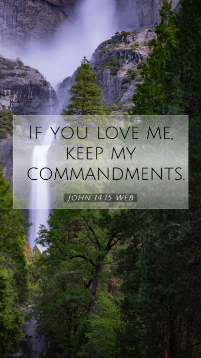 Picture 07 - John 14:15 WEB Mobile Phone Wallpaper - If you love me, keep my - Mobile Bible Verse Wallpaper
