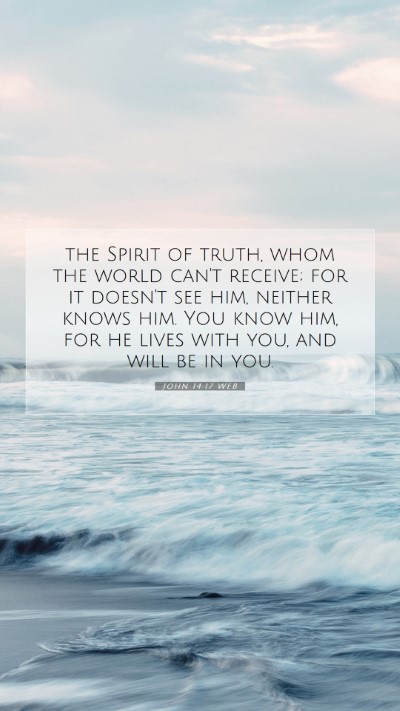 Picture 07 - John 14:17 WEB Mobile Phone Wallpaper - the Spirit of truth, whom the world can't - Mobile Bible Verse Wallpaper