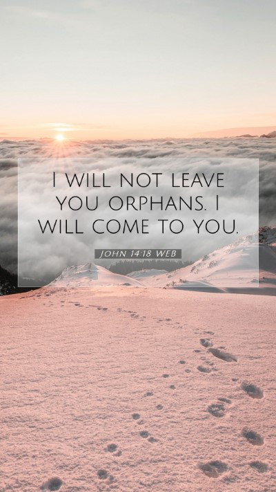 Picture 07 - John 14:18 WEB Mobile Phone Wallpaper - I will not leave you orphans. I will come to - Mobile Bible Verse Wallpaper