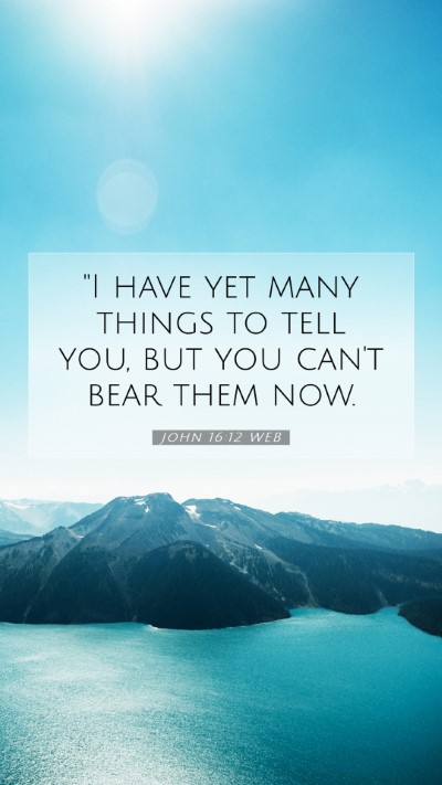 Picture 07 - John 16:12 WEB Mobile Phone Wallpaper - 