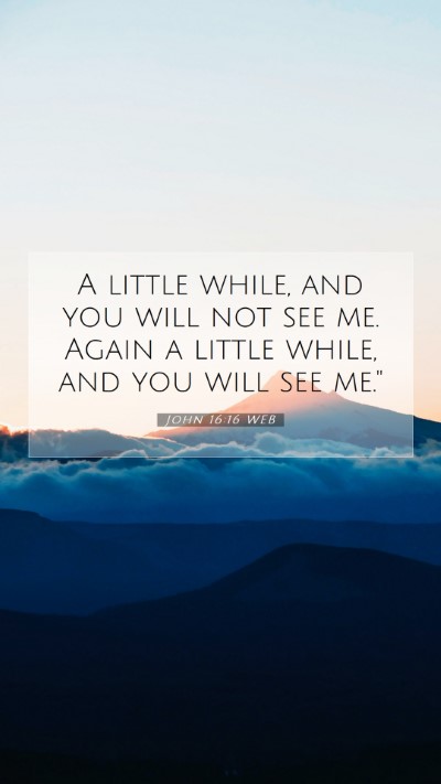 Picture 07 - John 16:16 WEB Mobile Phone Wallpaper - A little while, and you will not see me. Again a - Mobile Bible Verse Wallpaper