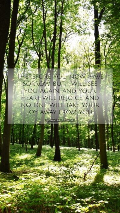 Picture 07 - John 16:22 WEB Mobile Phone Wallpaper - Therefore you now have sorrow, but I will see you - Mobile Bible Verse Wallpaper