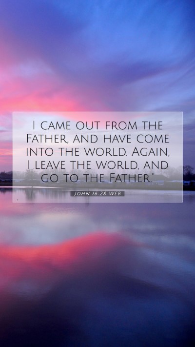 Picture 07 - John 16:28 WEB Mobile Phone Wallpaper - I came out from the Father, and have come into - Mobile Bible Verse Wallpaper