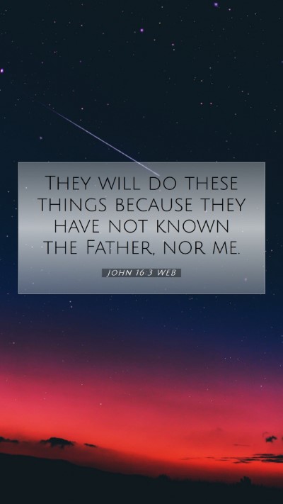 Picture 07 - John 16:3 WEB Mobile Phone Wallpaper - They will do these things because they have not - Mobile Bible Verse Wallpaper