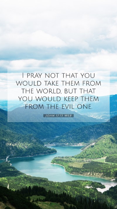 Picture 07 - John 17:15 WEB Mobile Phone Wallpaper - I pray not that you would take them from the - Mobile Bible Verse Wallpaper