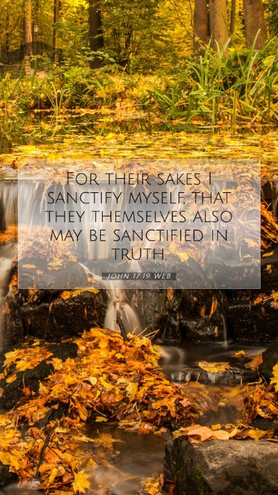 Picture 07 - John 17:19 WEB Mobile Phone Wallpaper - For their sakes I sanctify myself, that they - Mobile Bible Verse Wallpaper