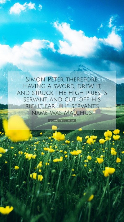 Picture 07 - John 18:10 WEB Mobile Phone Wallpaper - Simon Peter therefore, having a sword, drew it, - Mobile Bible Verse Wallpaper