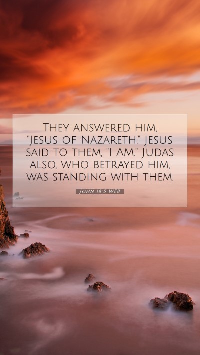 Picture 07 - John 18:5 WEB Mobile Phone Wallpaper - They answered him, 