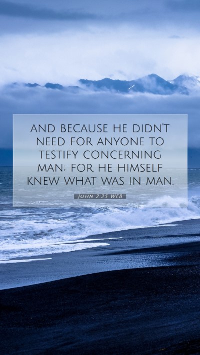 Picture 07 - John 2:25 WEB Mobile Phone Wallpaper - and because he didn't need for anyone to testify - Mobile Bible Verse Wallpaper