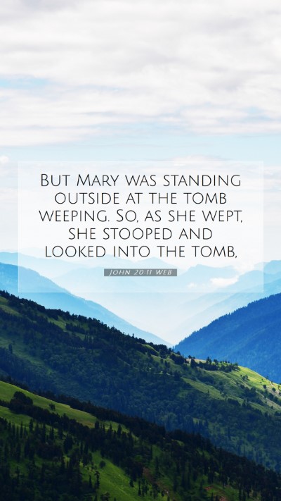 Picture 07 - John 20:11 WEB Mobile Phone Wallpaper - But Mary was standing outside at the tomb - Mobile Bible Verse Wallpaper