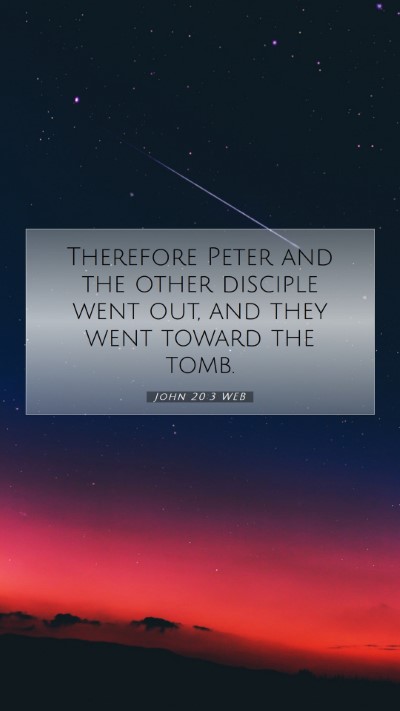 Picture 07 - John 20:3 WEB Mobile Phone Wallpaper - Therefore Peter and the other disciple went out, - Mobile Bible Verse Wallpaper