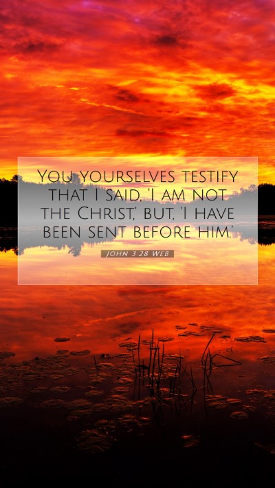 Picture 07 - John 3:28 WEB Mobile Phone Wallpaper - You yourselves testify that I said, 'I am not the - Mobile Bible Verse Wallpaper