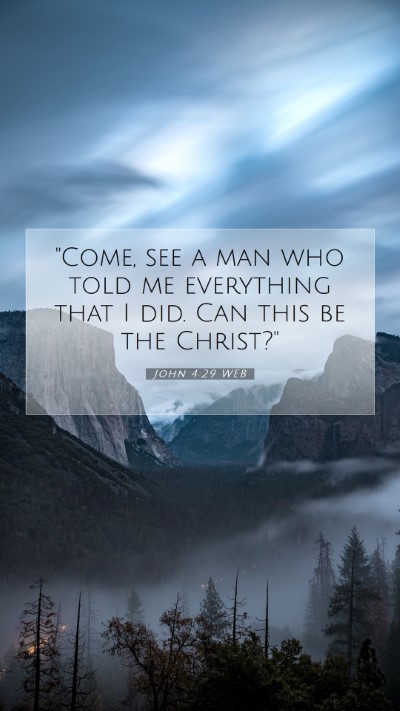 Picture 07 - John 4:29 WEB Mobile Phone Wallpaper - 