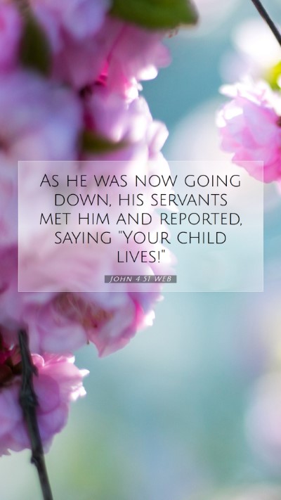 Picture 07 - John 4:51 WEB Mobile Phone Wallpaper - As he was now going down, his servants met him - Mobile Bible Verse Wallpaper
