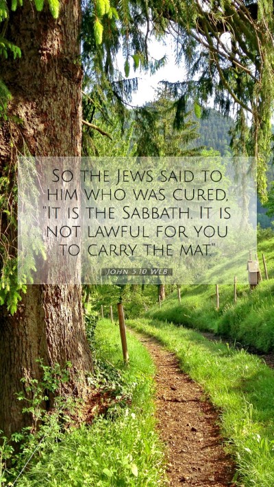 Picture 07 - John 5:10 WEB Mobile Phone Wallpaper - So the Jews said to him who was cured, 