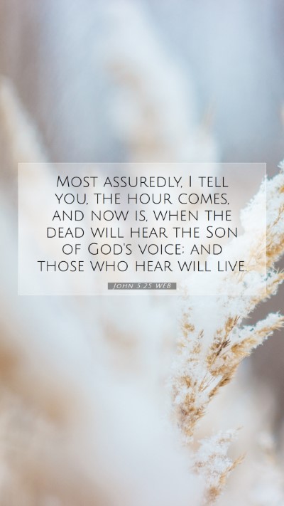 Picture 07 - John 5:25 WEB Mobile Phone Wallpaper - Most assuredly, I tell you, the hour comes, and - Mobile Bible Verse Wallpaper