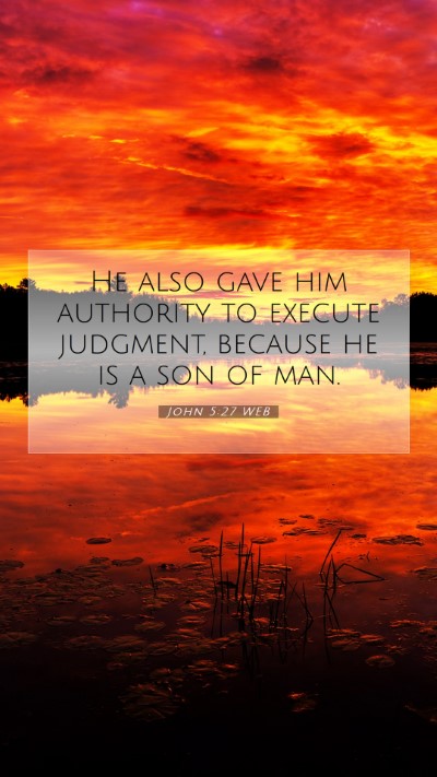 Picture 07 - John 5:27 WEB Mobile Phone Wallpaper - He also gave him authority to execute judgment, - Mobile Bible Verse Wallpaper