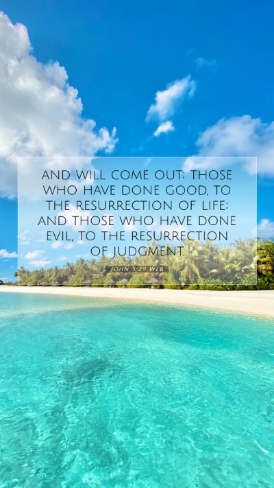 Picture 07 - John 5:29 WEB Mobile Phone Wallpaper - and will come out; those who have done good, to - Mobile Bible Verse Wallpaper