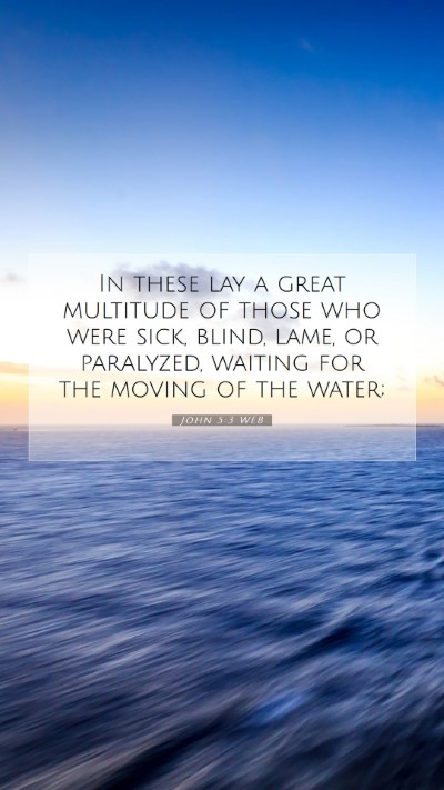 Picture 07 - John 5:3 WEB Mobile Phone Wallpaper - In these lay a great multitude of those who were - Mobile Bible Verse Wallpaper