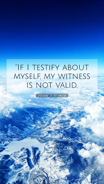 Picture 07 - John 5:31 WEB Mobile Phone Wallpaper - 