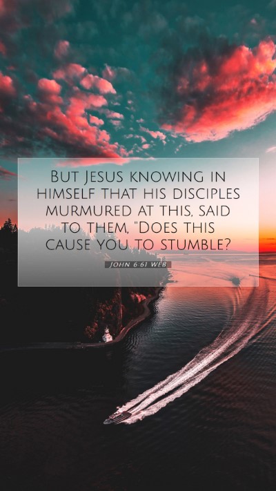 Picture 07 - John 6:61 WEB Mobile Phone Wallpaper - But Jesus knowing in himself that his disciples - Mobile Bible Verse Wallpaper