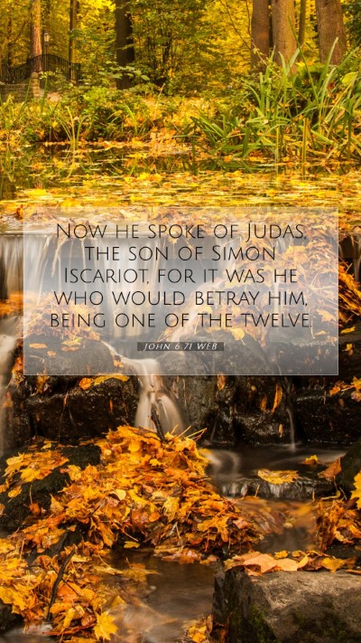 Picture 07 - John 6:71 WEB Mobile Phone Wallpaper - Now he spoke of Judas, the son of Simon Iscariot, - Mobile Bible Verse Wallpaper