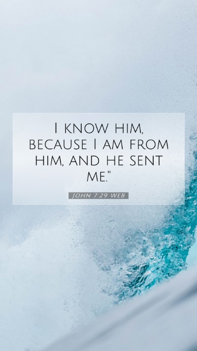 Picture 07 - John 7:29 WEB Mobile Phone Wallpaper - I know him, because I am from him, and he sent - Mobile Bible Verse Wallpaper