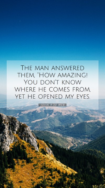 Picture 07 - John 9:30 WEB Mobile Phone Wallpaper - The man answered them, 