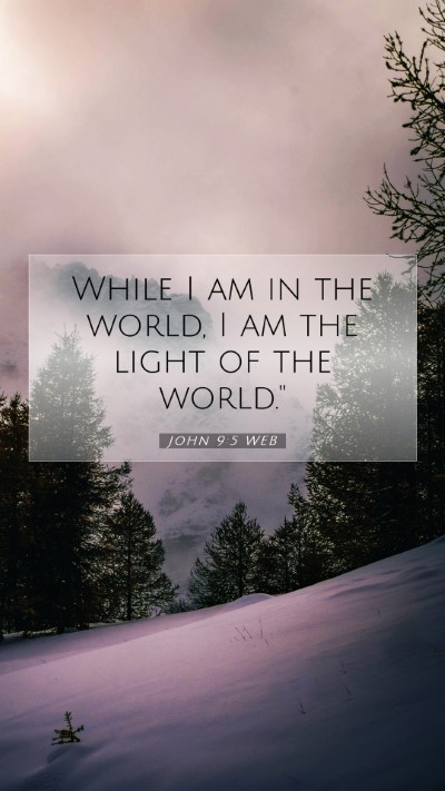 Picture 07 - John 9:5 WEB Mobile Phone Wallpaper - While I am in the world, I am the light of the - Mobile Bible Verse Wallpaper
